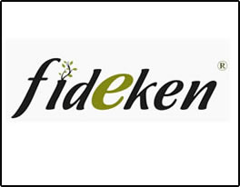 Fideken